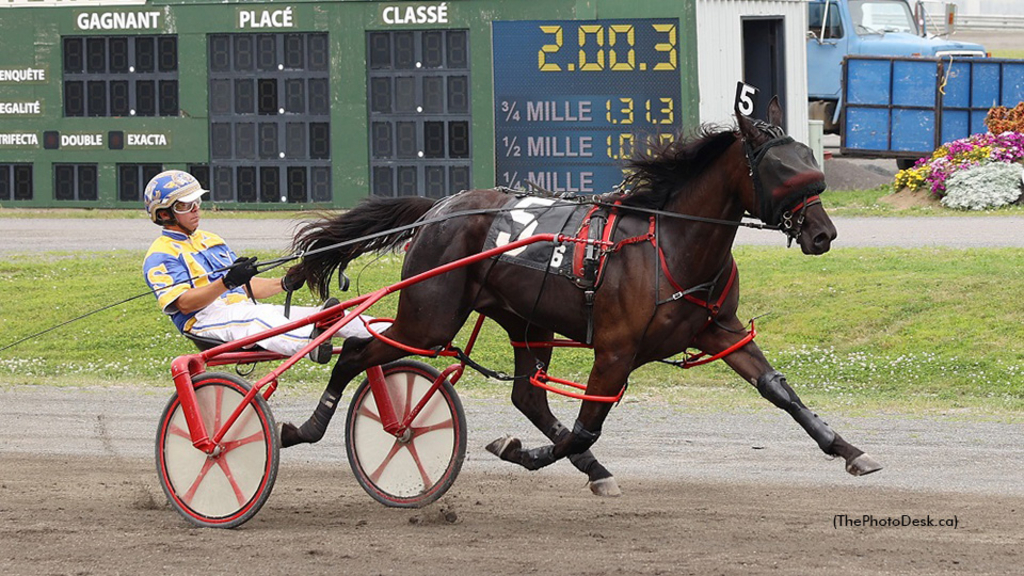 Godiva Shadow Girl winning at Hippodrome 3R