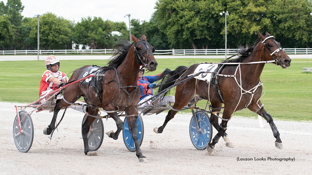 Hollys Treasure winning at Leamington Raceway