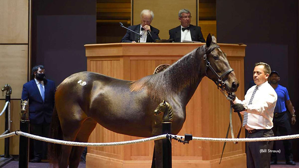A horse in the sales ring at the 2021 Lexington Selected Yearling Sale