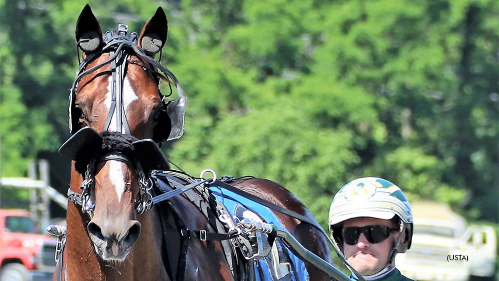 Lousain Bolt at Gaitway Farm qualifiers