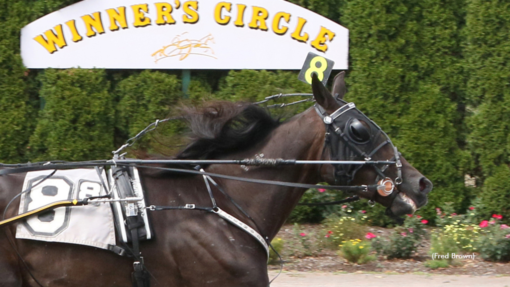 Prairie Panther winning at Tioga Downs