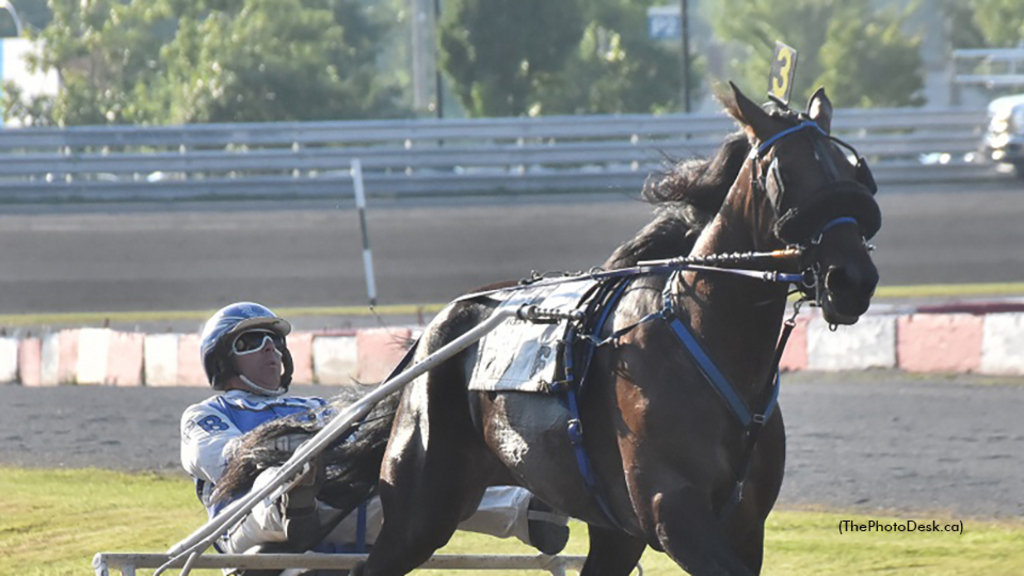 Stella Alpha winning at Hippodrome 3R