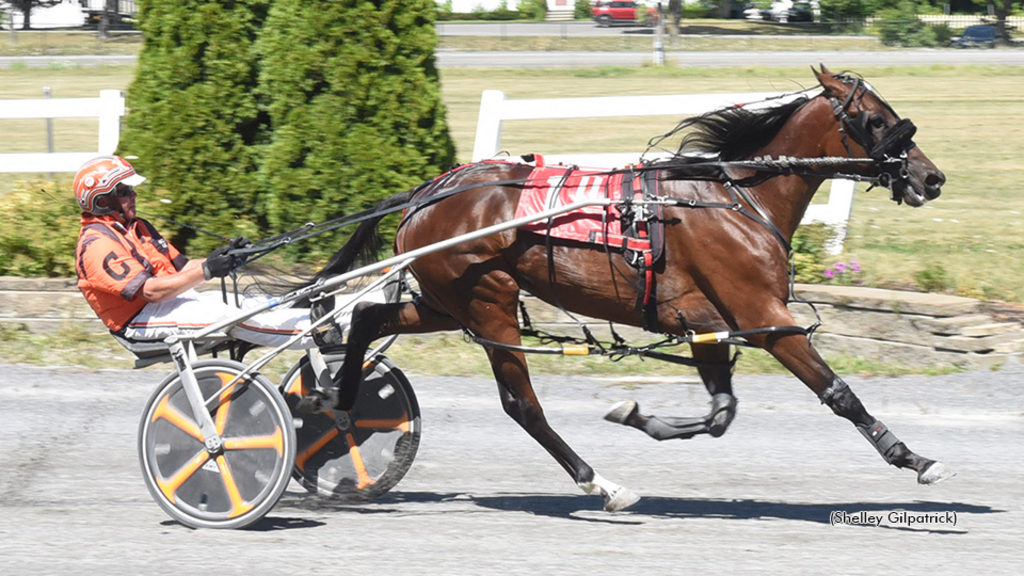 Use Ya Blinkah winning at Bangor Raceway