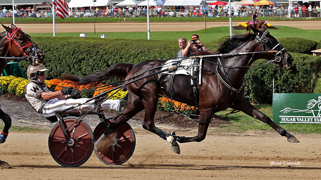 Bluebird Dove winning at Delaware County Fair