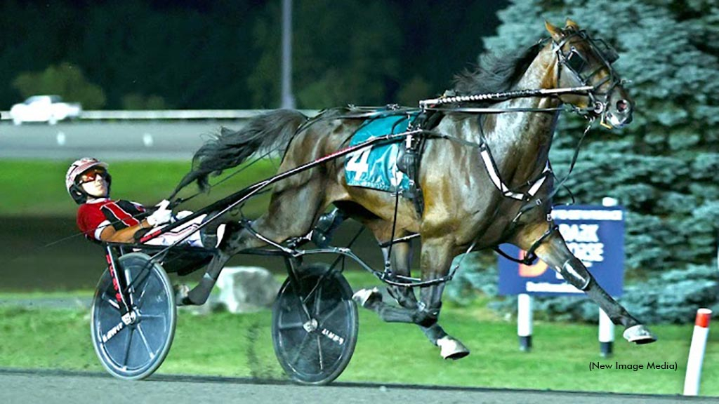 Bulldog Hanover winning at Woodbine Mohawk Park