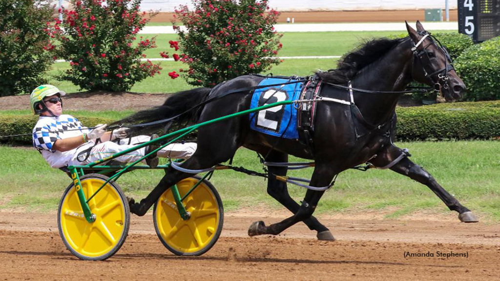 Confederate winning at The Red Mile