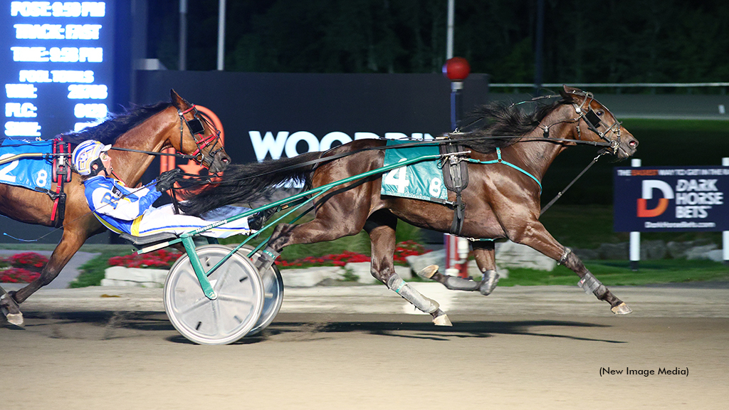 DWs Point Man Breaks Records In Flamboro OSS | Standardbred Canada