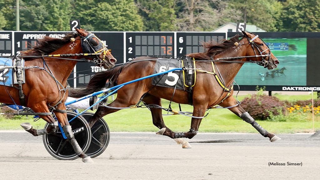 La Bella Vita N winning at Saratoga Raceway