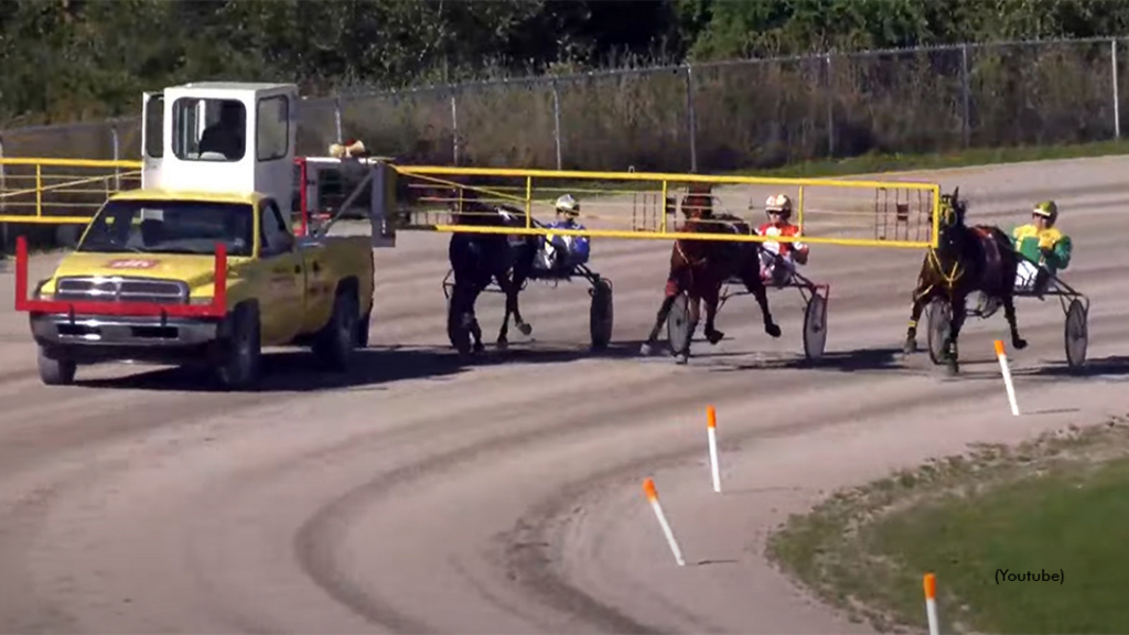 The Gold division of the 2022 NS Amateur Driving Championship behind the starting gate