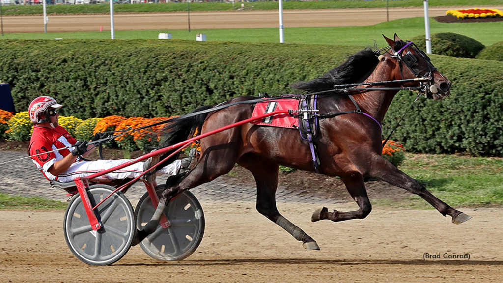 Rumble Strips Earns Ohio Award | Standardbred Canada