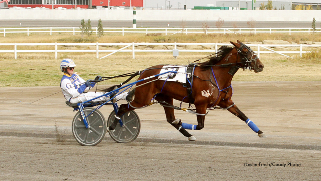 Stash The Cookies winning at Century Downs