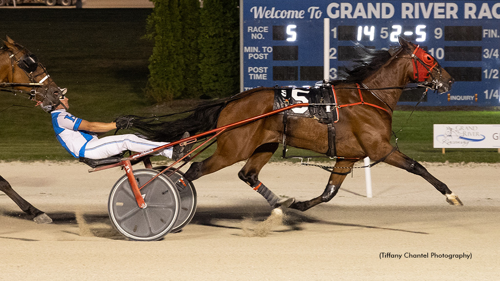 Stonebridge Zeus winning at Grand River Raceway