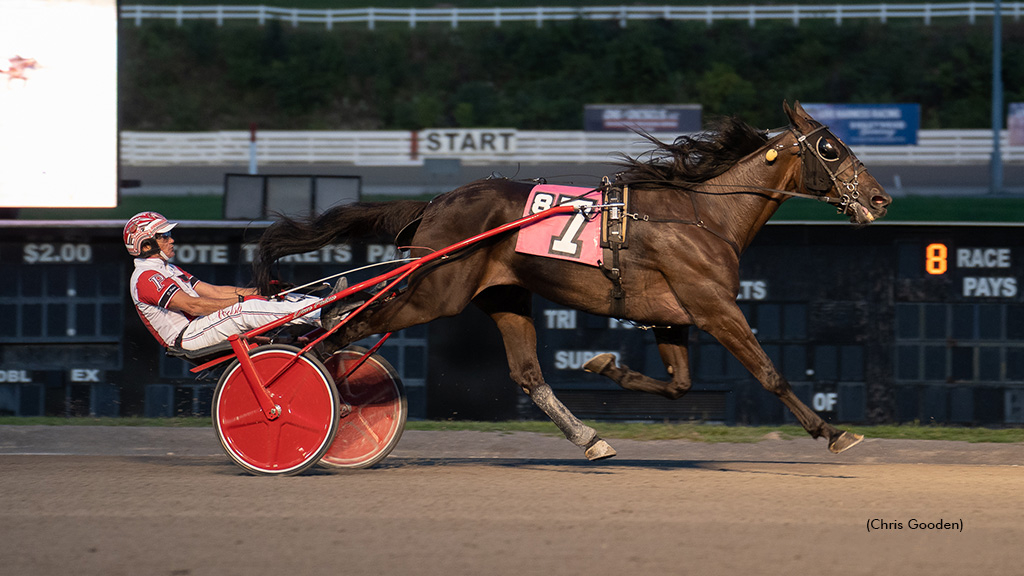 Tequila Talkin winning at The Meadows