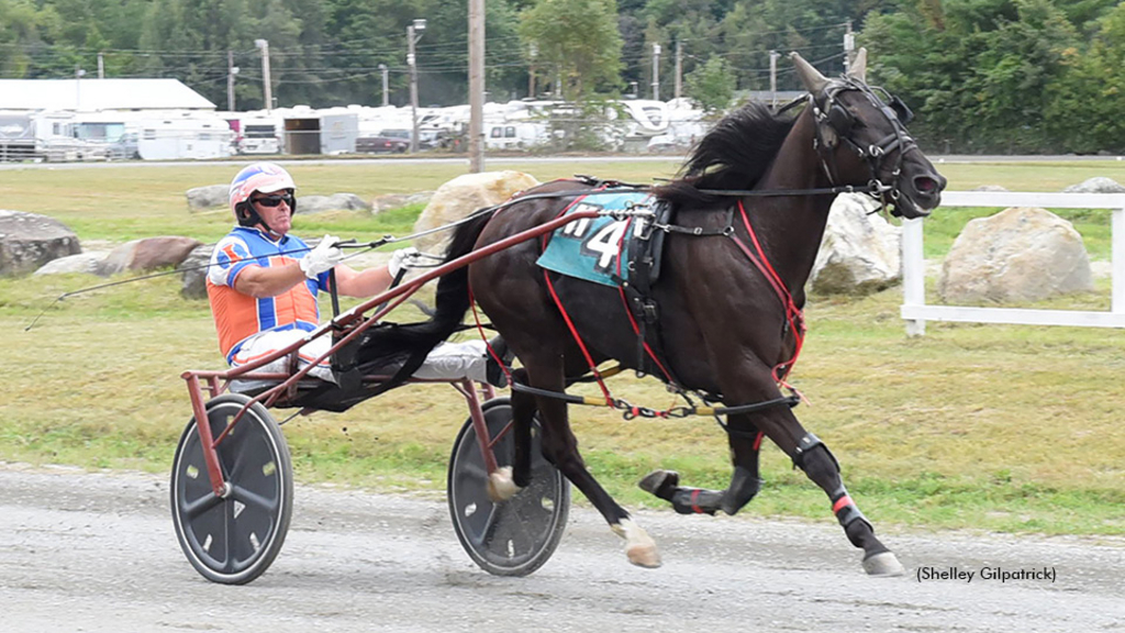 Ugotaearnyrstripes winning at Farmington Fair