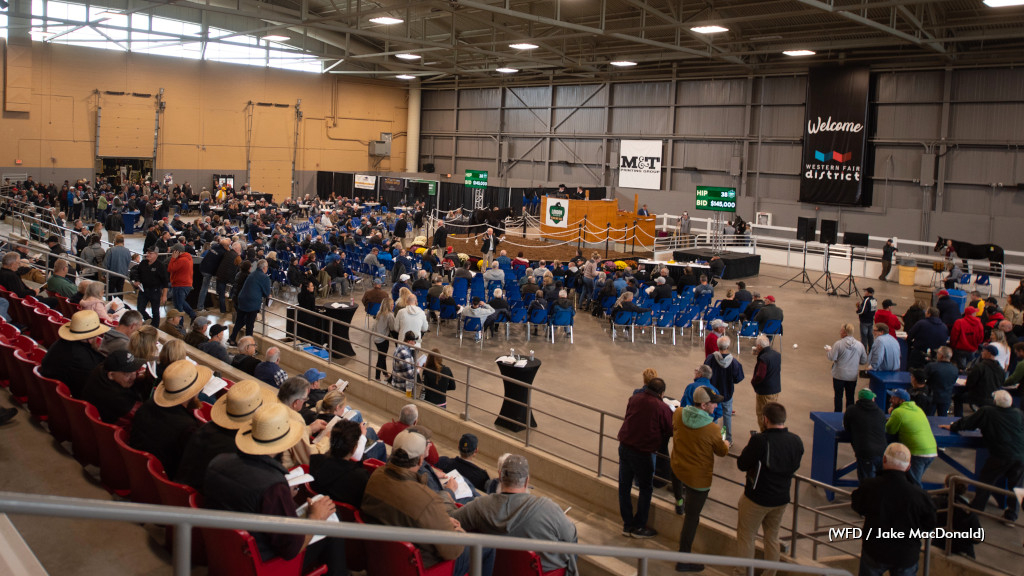 2022 London Classic Yearling Sale