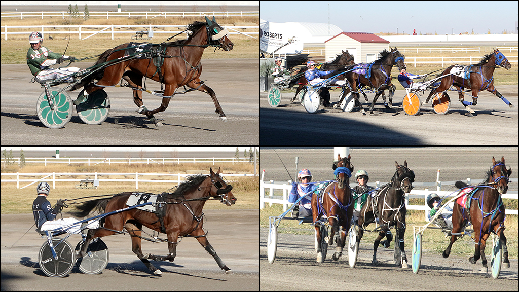 The 2022 Alberta Sires Stakes Super Final champions