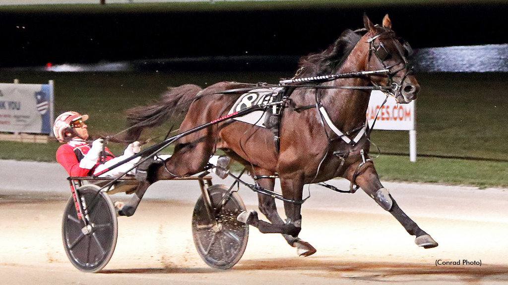 Top Bulldog Hanover  Check it out now 