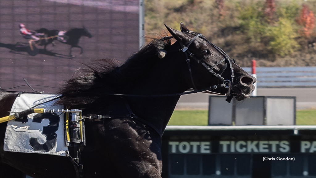 Celebrate With Me winning at The Meadows