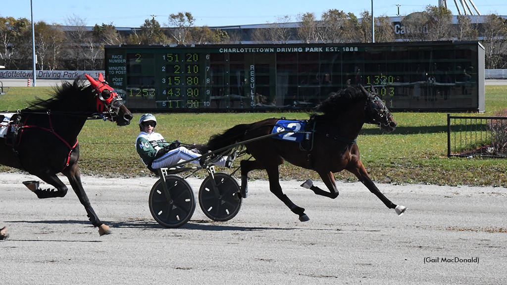 Irish Ray winning the Atlantic Breeders Crown at Charlottetown Driving Park