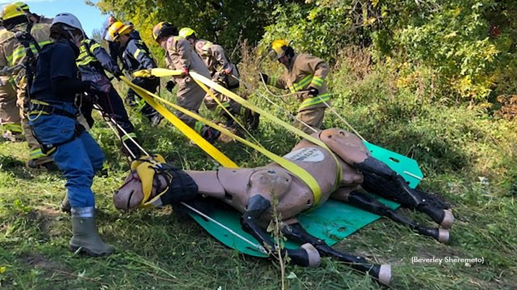 Large Animal Rescue training in Quebec