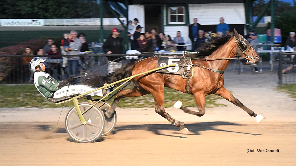 Marc Campbell driving at Red Shores