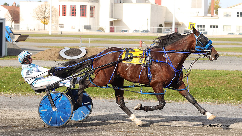 Mickeymaksomespeed winning at Hippodrome 3R