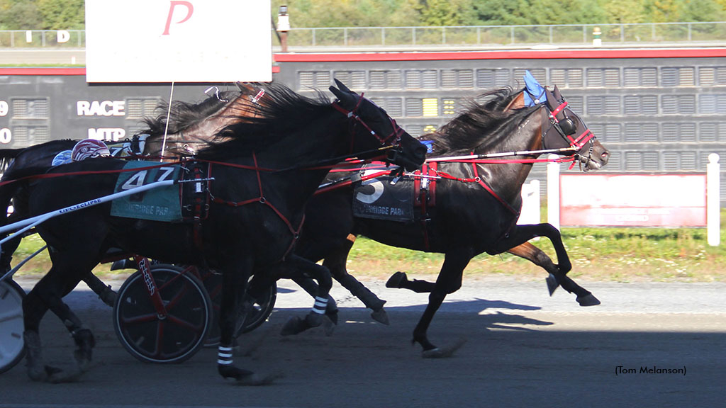 Raybarnz winning at Plainridge Park