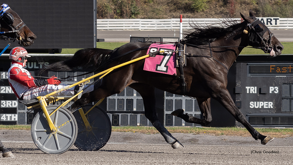 Tequila Talkin winning at The Meadows