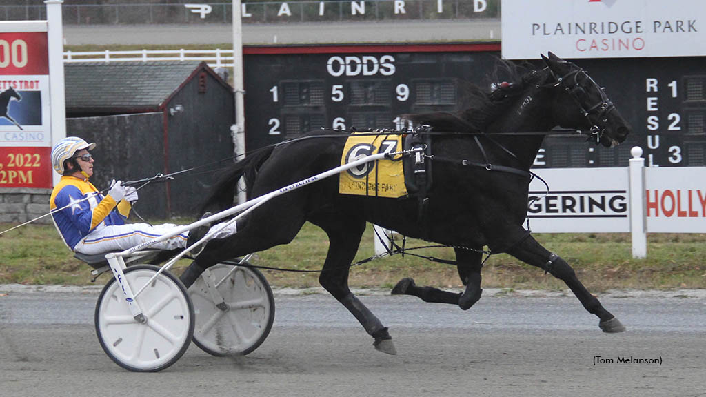 Angel Nation winning at Plainridge Park