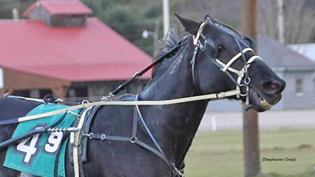 Broadway Giant winning at First Tracks Cumberland