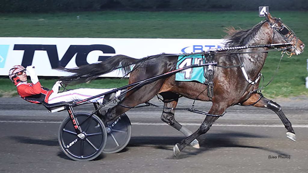 Bulldog Hanover winning at The Meadowlands