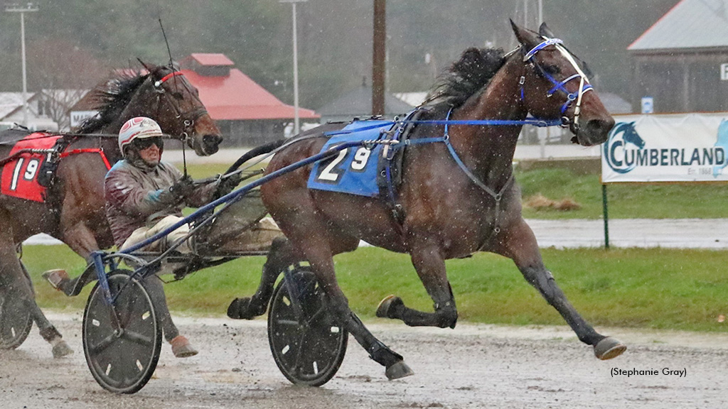 Caulfield winning at First Tracks Cumberland 