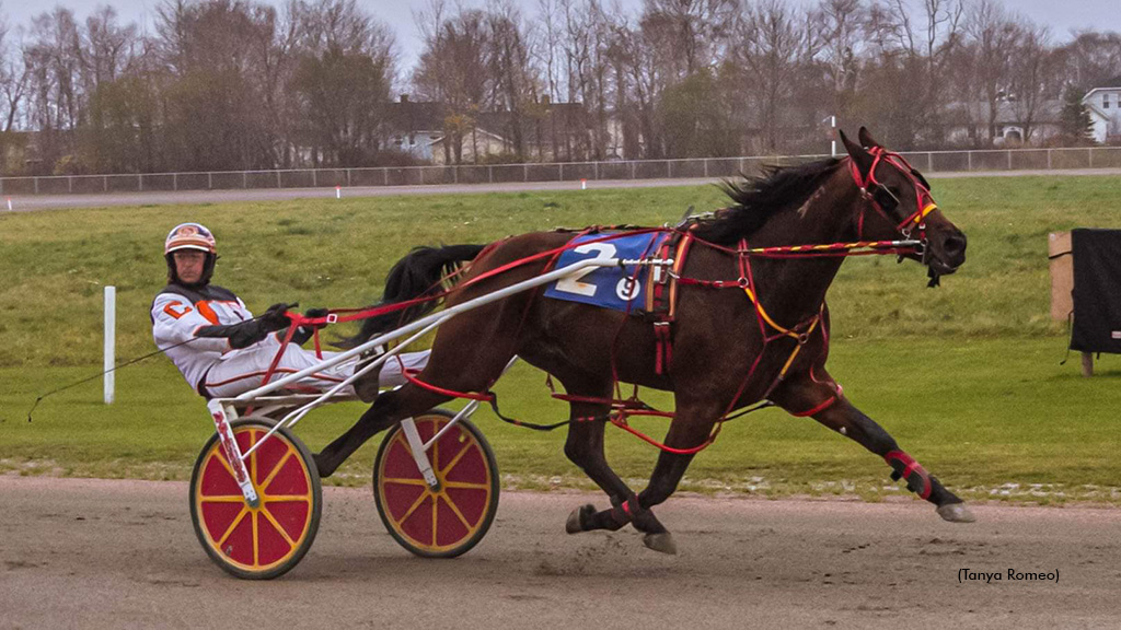 Eastcoast Invader winning at Northside Downs