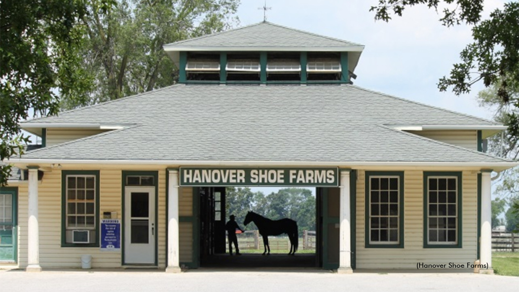 Hanover Shoe Farms