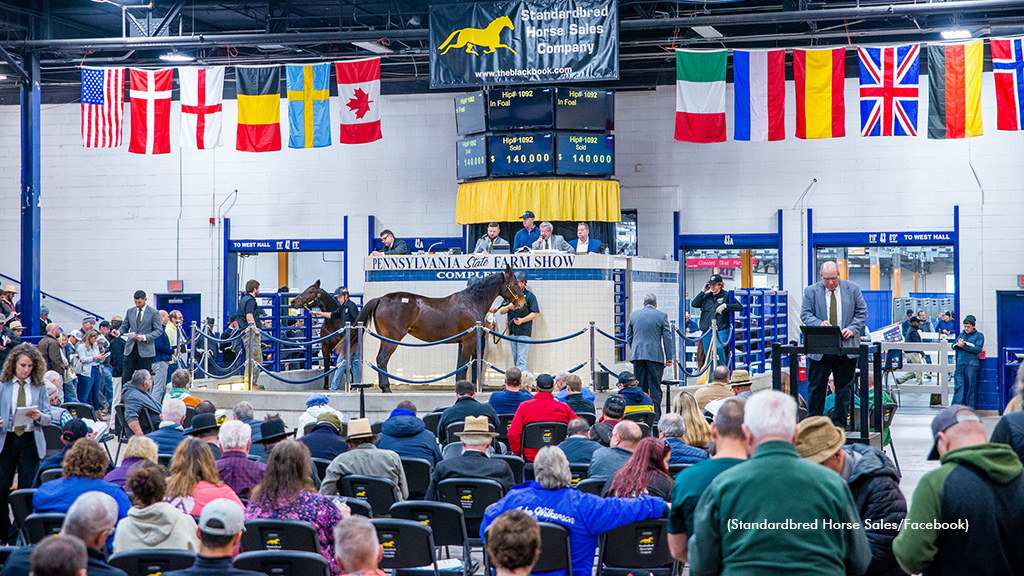Standardbred Horse Sales Company auction in progress