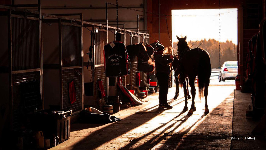 November 2022 Heart of Harness Racing Calendar photo