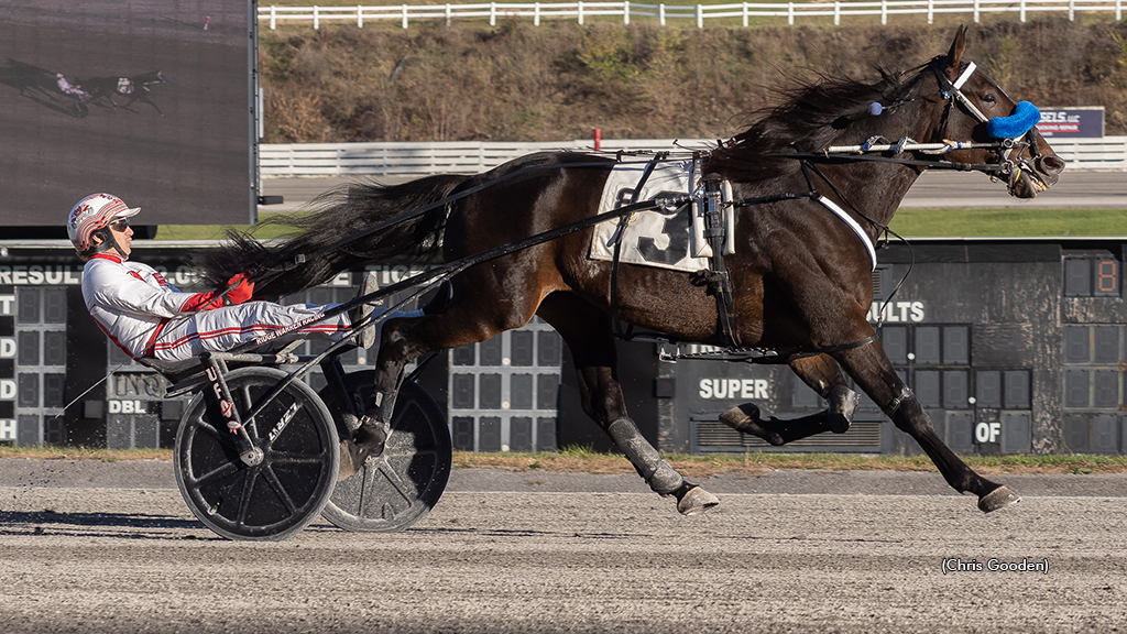 Oberto winning at The Meadows