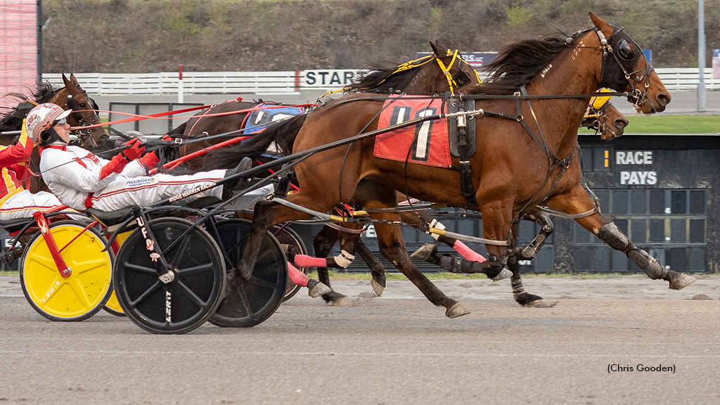 Slick Artist A winning at The Meadows