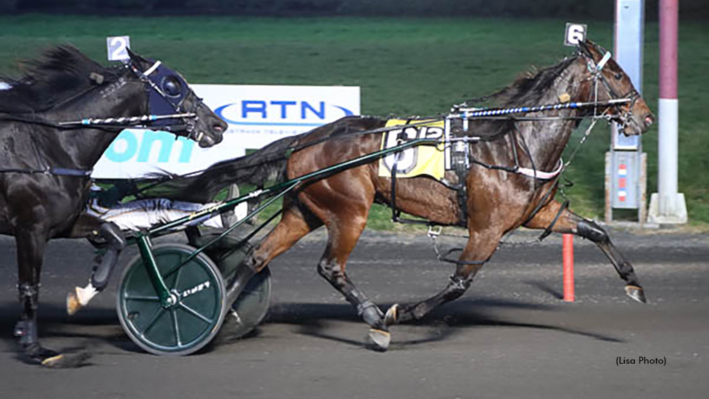 Ahundreddollarbill winning at The Meadowlands