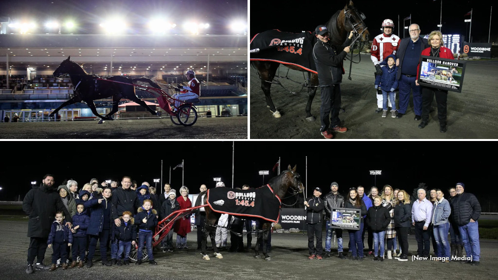 Retirement ceremony for Bulldog Hanover at Woodbine Mohawk Park