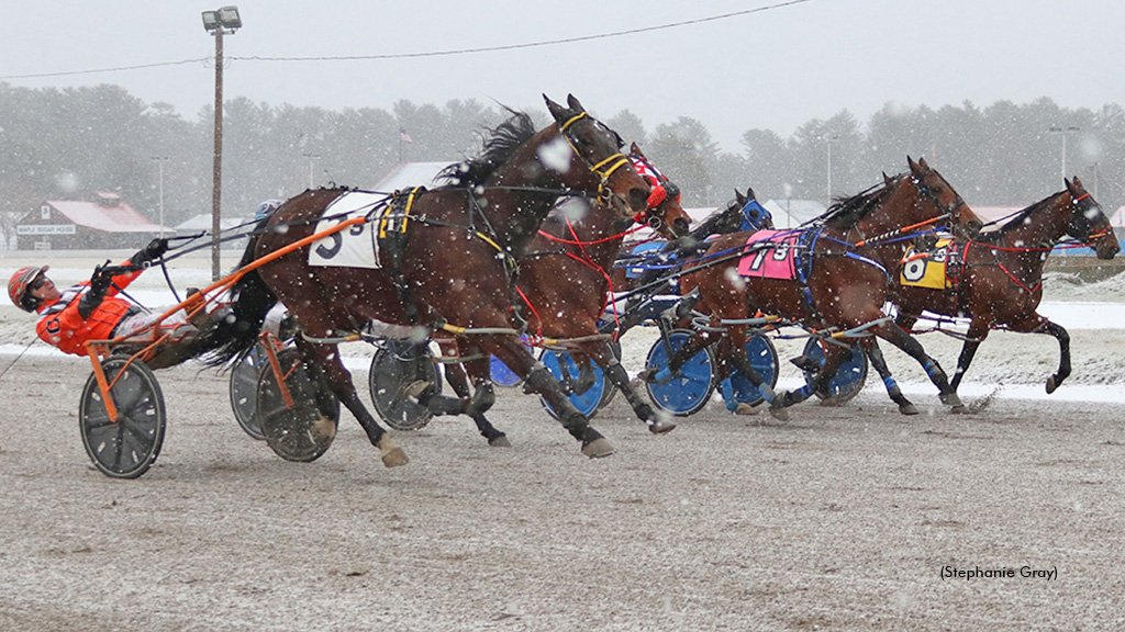 Invictus Hanover winning at First Tracks Cumberland