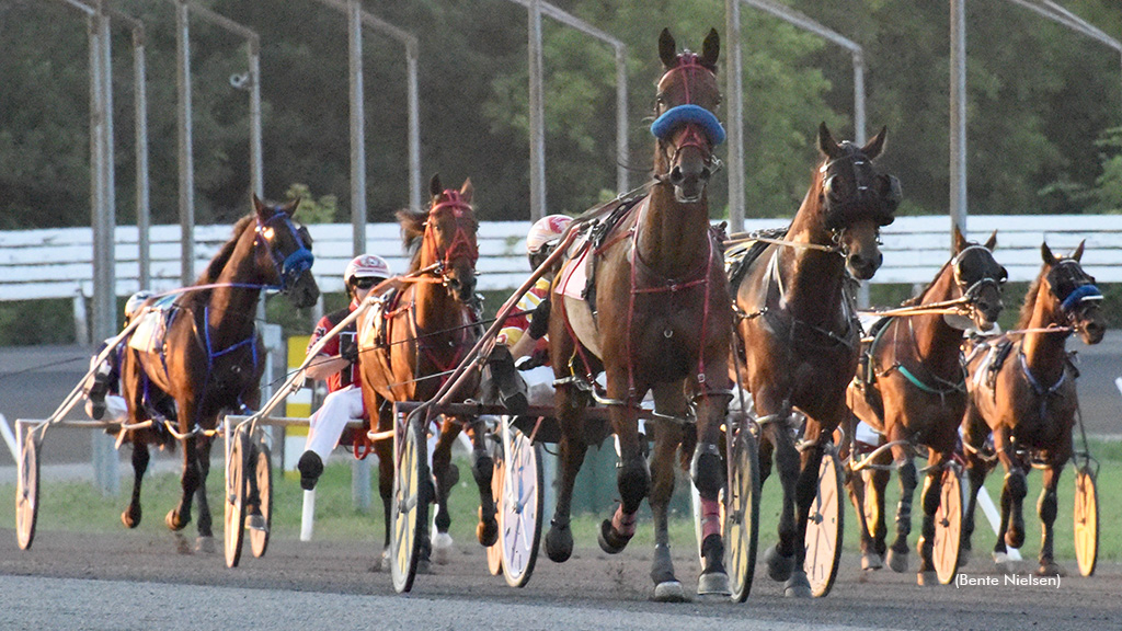 Harness racing at Rideau Carleton Raceway