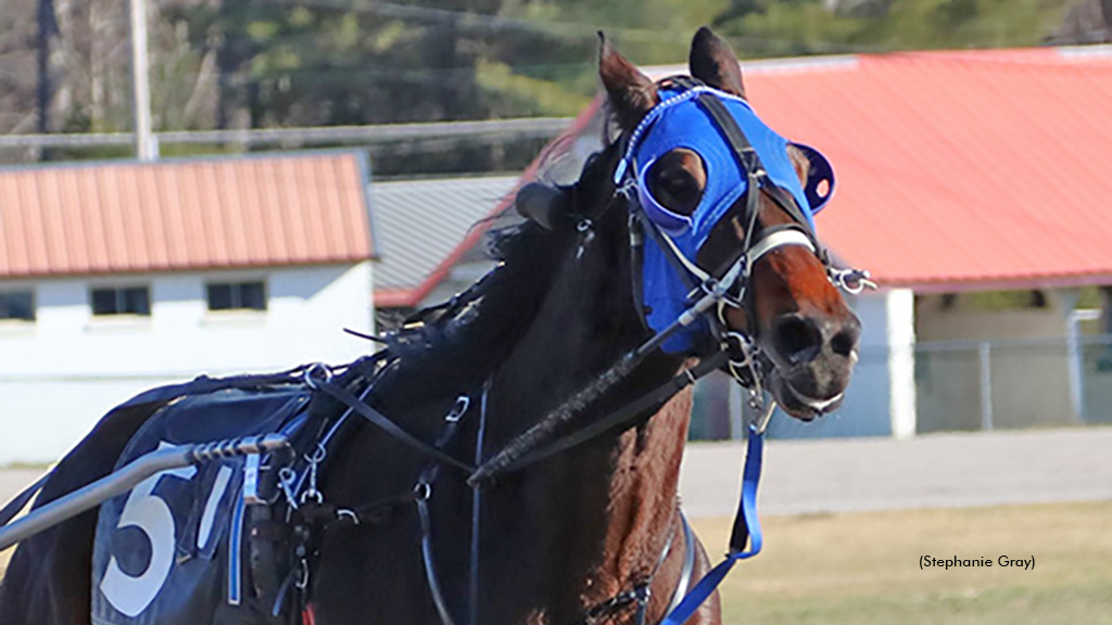 Timbo Slice winning at First Tracks Cumberland