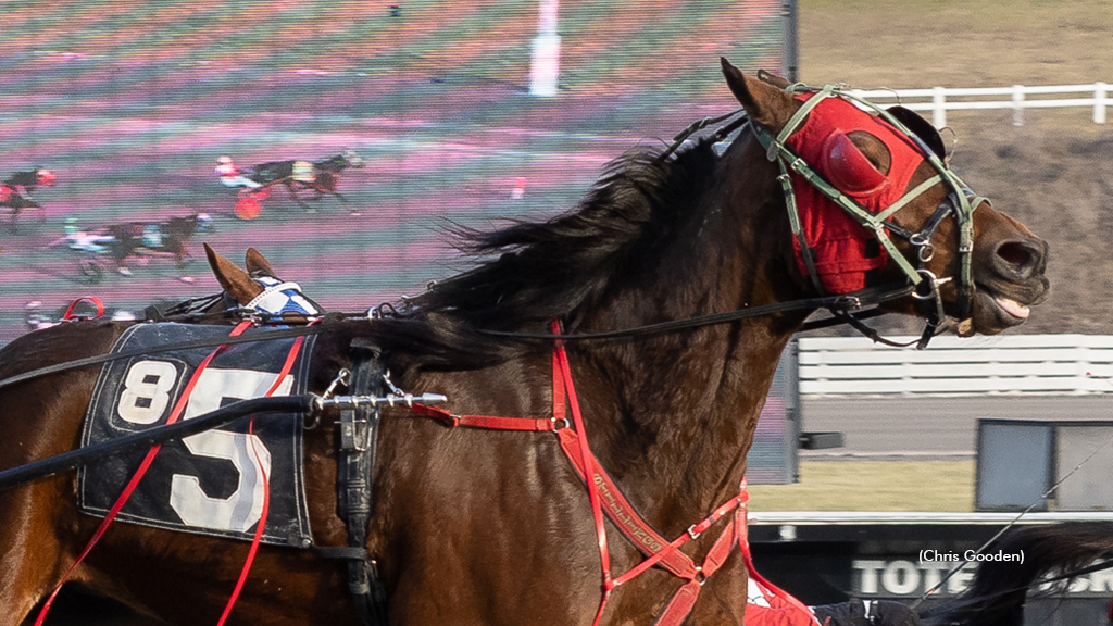 Uptown Callie winning at The Meadows