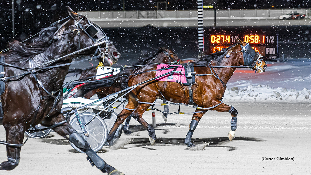 Cheddar Bay winning at The Raceway