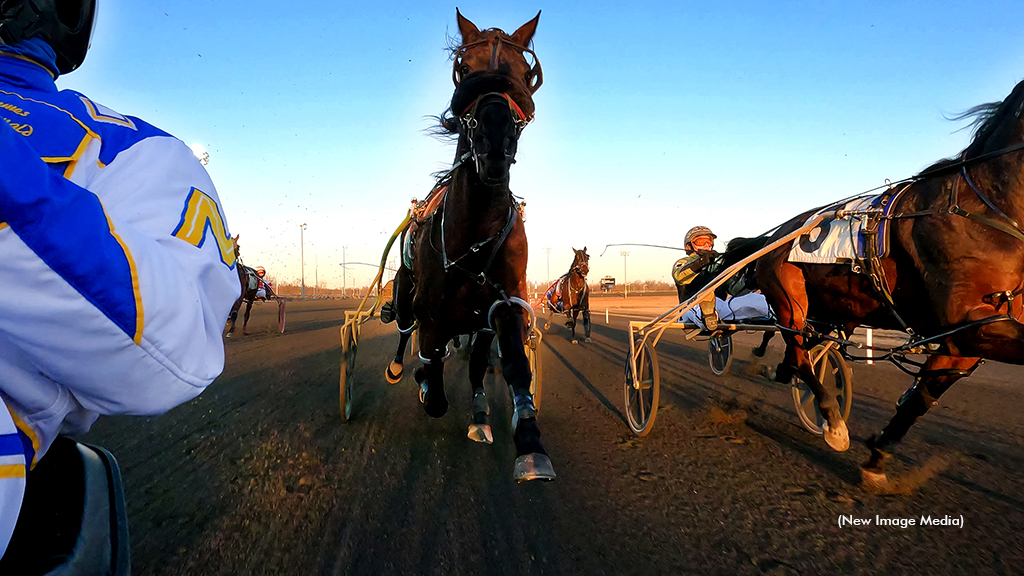 Harness Racing in Canada