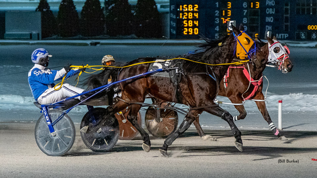 Harness racing at Buffalo Raceway