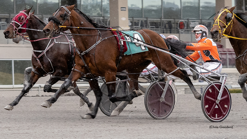 Wild Wild Western winning at The Meadows