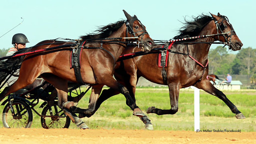 Big Christian training as a two-year-old at the Erv Miller Stable