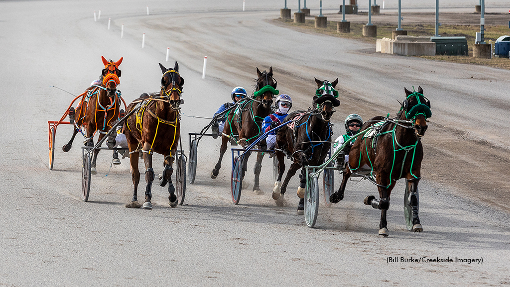 Harness racing at Buffalo Raceway